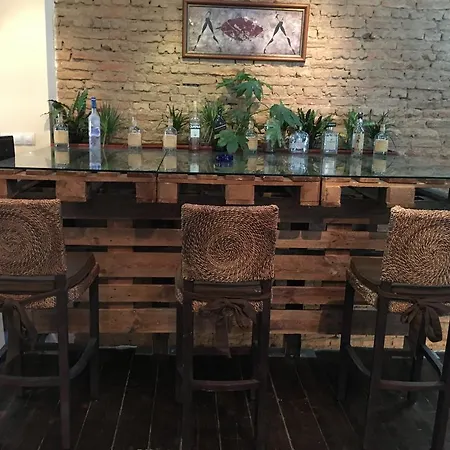 Guest Ganchev Varna