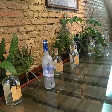 Guest Ganchev